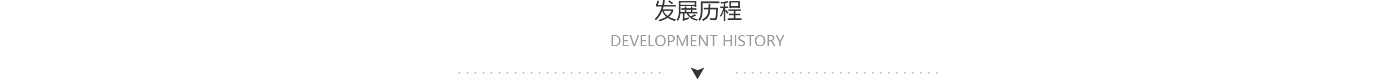 找树网发展历程